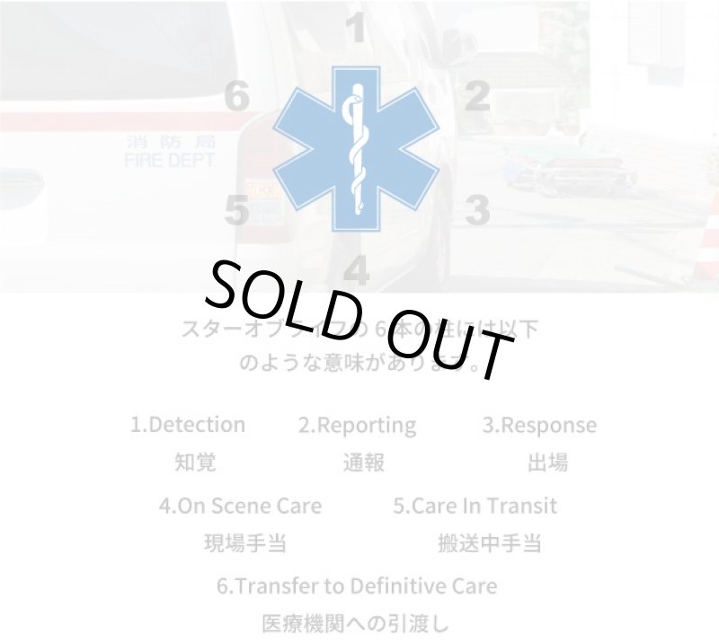 画像4: 【ネコポス対象商品】 スターオブライフ マグネット 20cm (4)