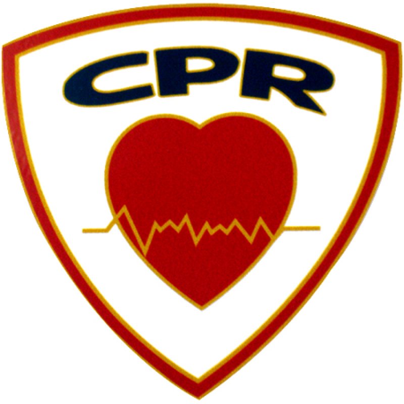 画像1: 【ネコポス対象商品】 CPR  ステッカー (1)