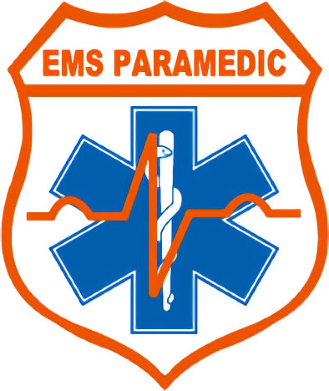 画像1: 【ネコポス対象商品】 EMS PARAMEDICスターオブライフステッカー (1)